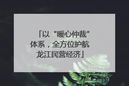 以“暖心仲裁”体系，全方位护航龙江民营经济
