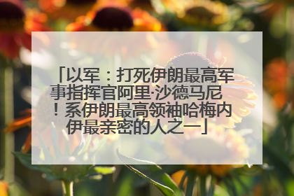 以军：打死伊朗最高军事指挥官阿里·沙德马尼！系伊朗最高领袖哈梅内伊最亲密的人之一