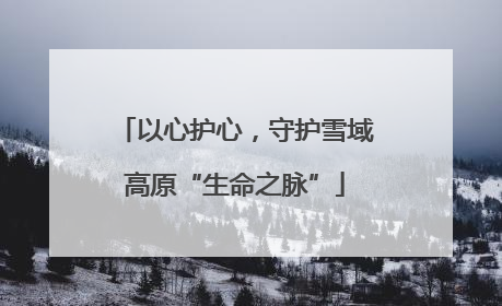 以心护心，守护雪域高原“生命之脉”