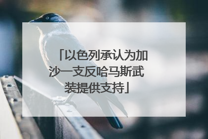 以色列承认为加沙一支反哈马斯武装提供支持