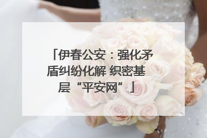 伊春公安：强化矛盾纠纷化解 织密基层“平安网”