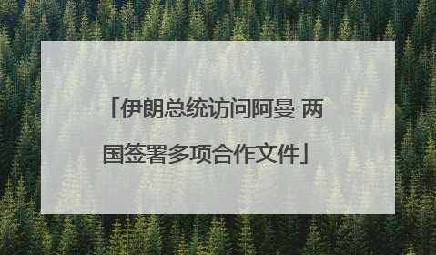 伊朗总统访问阿曼 两国签署多项合作文件