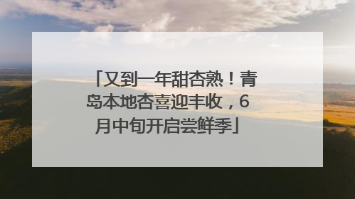 又到一年甜杏熟！青岛本地杏喜迎丰收，6月中旬开启尝鲜季