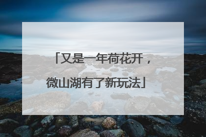 又是一年荷花开，微山湖有了新玩法