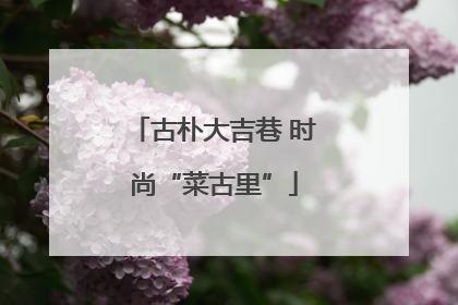 古朴大吉巷 时尚“菜古里”