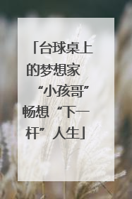台球桌上的梦想家 “小孩哥”畅想“下一杆”人生