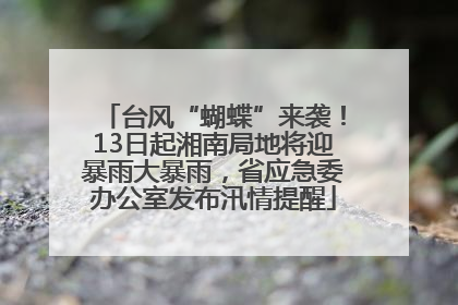 台风“蝴蝶”来袭！13日起湘南局地将迎暴雨大暴雨，省应急委办公室发布汛情提醒