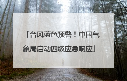 台风蓝色预警！中国气象局启动四级应急响应