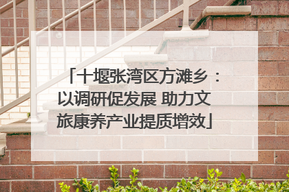 十堰张湾区方滩乡：以调研促发展 助力文旅康养产业提质增效