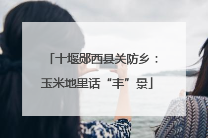 十堰郧西县关防乡：玉米地里话“丰”景