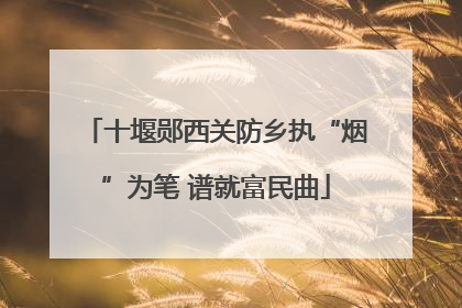 十堰郧西关防乡执“烟”为笔 谱就富民曲