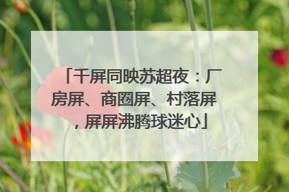 千屏同映苏超夜：厂房屏、商圈屏、村落屏，屏屏沸腾球迷心