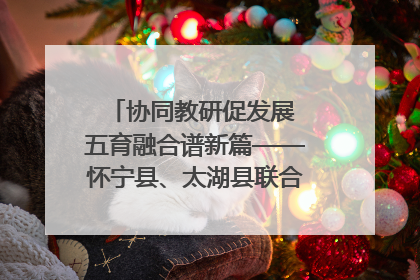 协同教研促发展 五育融合谱新篇——怀宁县、太湖县联合教研活动在月山镇中心学校成功举办