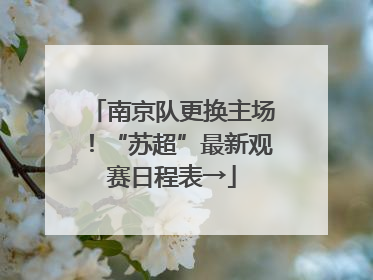南京队更换主场！“苏超”最新观赛日程表→