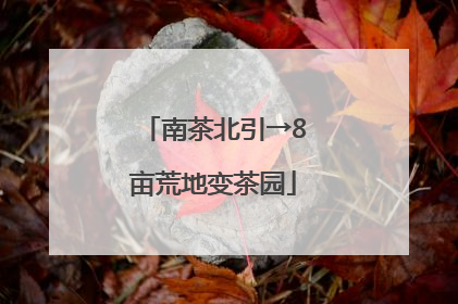 南茶北引→8亩荒地变茶园