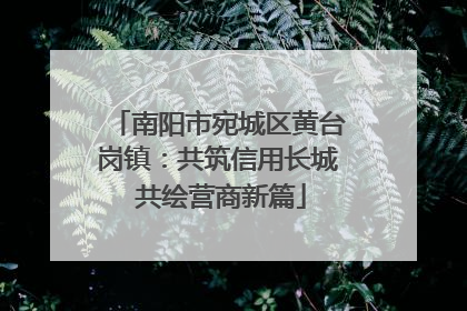 南阳市宛城区黄台岗镇：共筑信用长城 共绘营商新篇