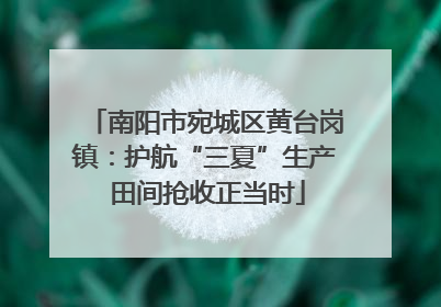 南阳市宛城区黄台岗镇：护航“三夏”生产 田间抢收正当时