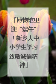 博物馆里迎“端午”！新乡大中小学生学习致敬诚信精神