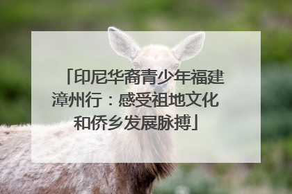 印尼华裔青少年福建漳州行：感受祖地文化和侨乡发展脉搏