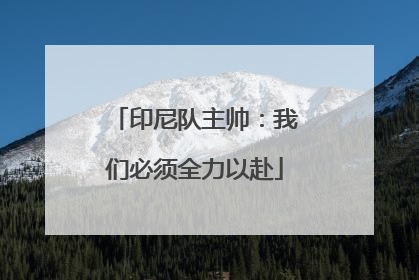 印尼队主帅：我们必须全力以赴