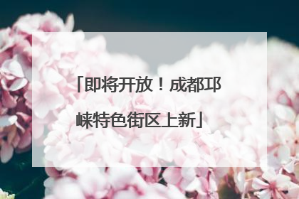 即将开放！成都邛崃特色街区上新
