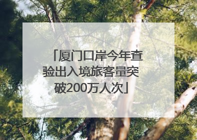 厦门口岸今年查验出入境旅客量突破200万人次