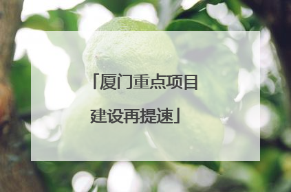 厦门重点项目建设再提速