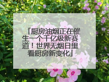 厨房油烟正在催生一个千亿级新赛道！世界无烟日里看厨房新变化