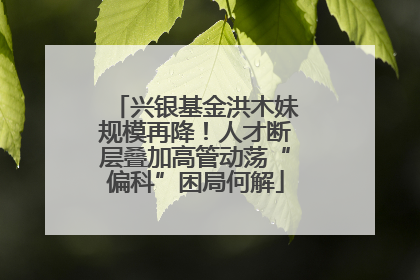 兴银基金洪木妹规模再降！人才断层叠加高管动荡“偏科”困局何解