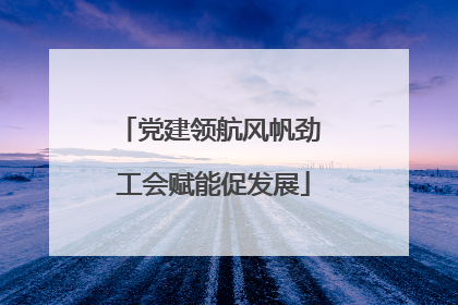 党建领航风帆劲 工会赋能促发展