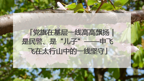 党旗在基层一线高高飘扬｜是民警、是“儿子”——申飞飞在太行山中的一线坚守