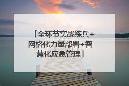 全环节实战练兵+网格化力量部署+智慧化应急管理