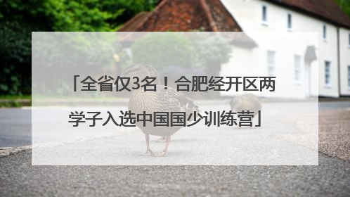 全省仅3名！合肥经开区两学子入选中国国少训练营