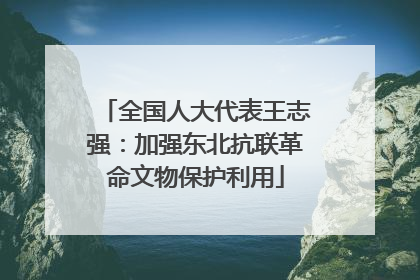 全国人大代表王志强：加强东北抗联革命文物保护利用
