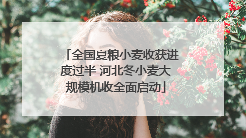 全国夏粮小麦收获进度过半 河北冬小麦大规模机收全面启动