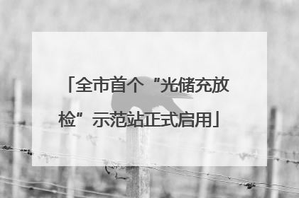 全市首个“光储充放检”示范站正式启用