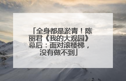全身都是淤青！陈丽君《我的大观园》幕后：面对滚楼梯，没有做不到