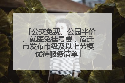 公交免费、公园半价、就医免挂号费，宿迁市发布市级及以上劳模优待服务清单