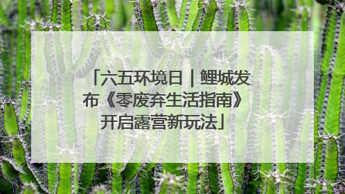 六五环境日｜鲤城发布《零废弃生活指南》开启露营新玩法