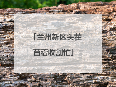 兰州新区头茬苜蓿收割忙
