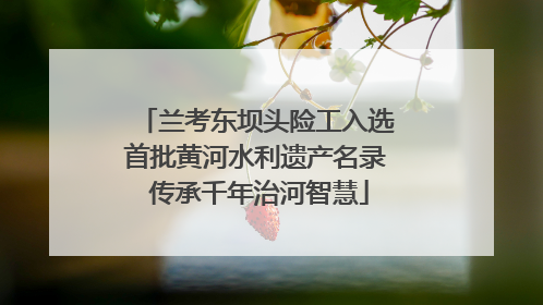 兰考东坝头险工入选首批黄河水利遗产名录 传承千年治河智慧