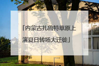 内蒙古扎鲁特草原上演夏日转场大迁徙