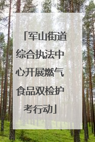 军山街道综合执法中心开展燃气食品双检护考行动