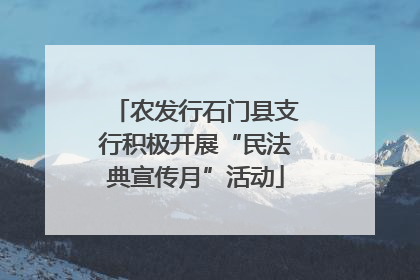 农发行石门县支行积极开展“民法典宣传月”活动