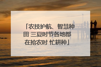 农技护航、智慧种田 三夏时节各地都在抢农时 忙耕种