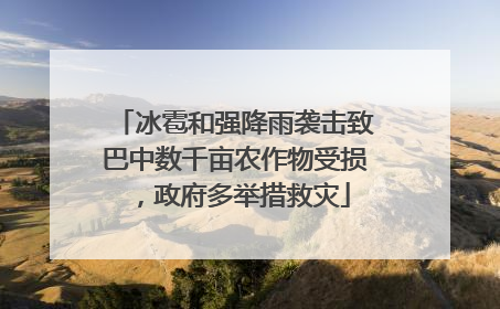 冰雹和强降雨袭击致巴中数千亩农作物受损，政府多举措救灾