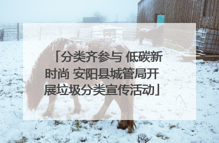 分类齐参与 低碳新时尚 安阳县城管局开展垃圾分类宣传活动