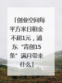 创业空间每平方米日租金不超1元，浦东“青创15条”满月带来什么