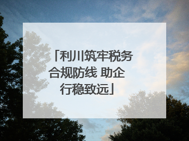 利川筑牢税务合规防线 助企行稳致远