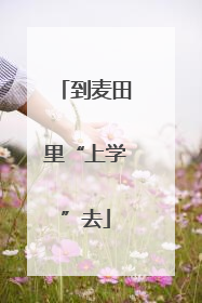 到麦田里“上学”去